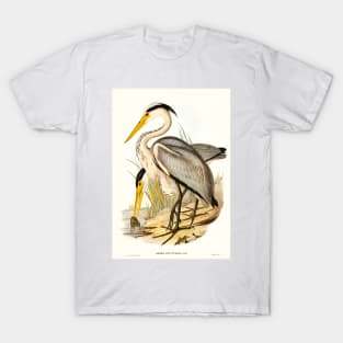 Great Grey Heron (Ardea leucophaea) T-Shirt